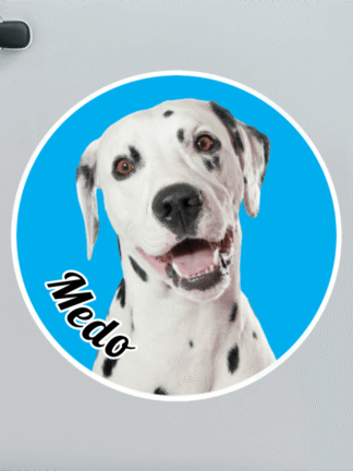 Personalizirane naljepnice – Ljubimac u autu