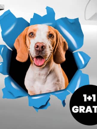 Personalizirana naljepnica za auto 1+1 GRATIS