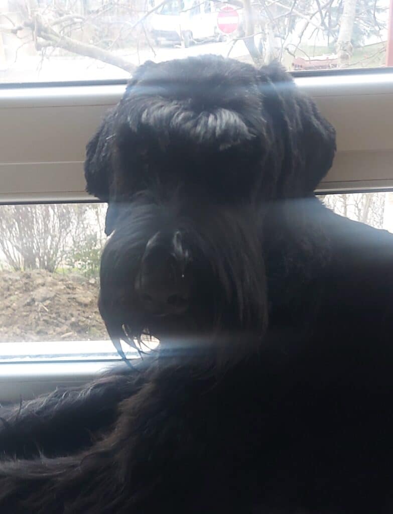 Image #1 from Siniša Rupčić