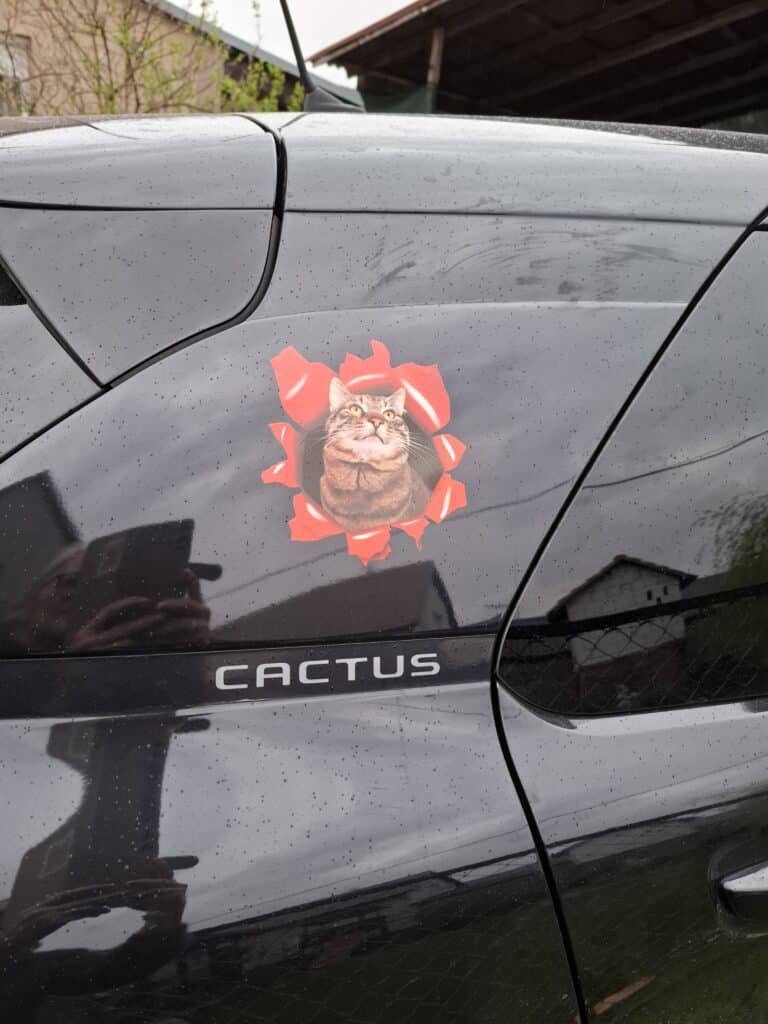 Image #1 from Katica H.